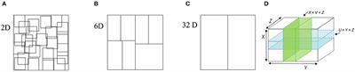 Simple and complex cells revisited: toward a selectivity-invariance model of object recognition